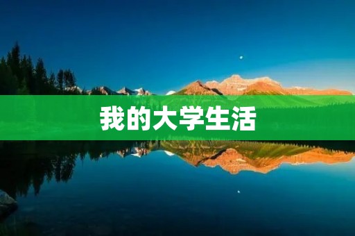 我的大学生活:探索未知的世界