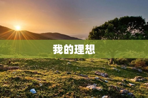 我的理想:成为一个有追求、有责任、有担当的人