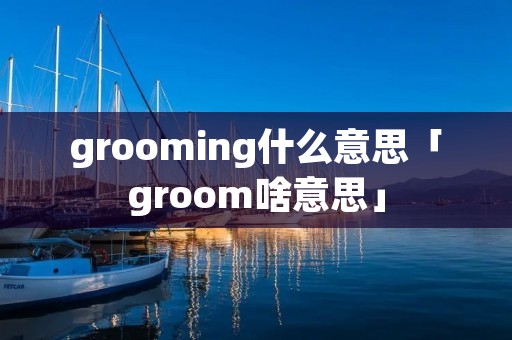 grooming什么意思「groom啥意思」