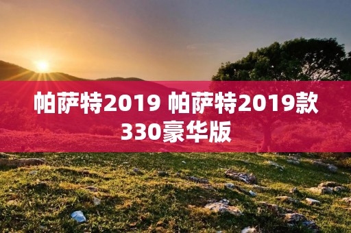 帕萨特2019 帕萨特2019款330豪华版 帕萨特2019 帕萨特2019款330豪华版