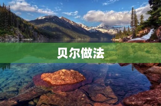 贝尔做法：量子计算的重要突破