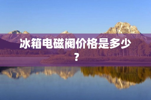 冰箱电磁阀价格是多少？