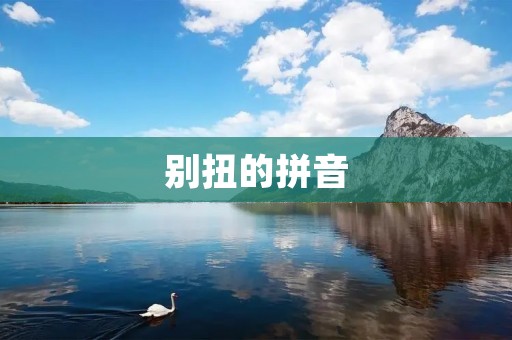 别扭的拼音：拼音输入法中的烦恼