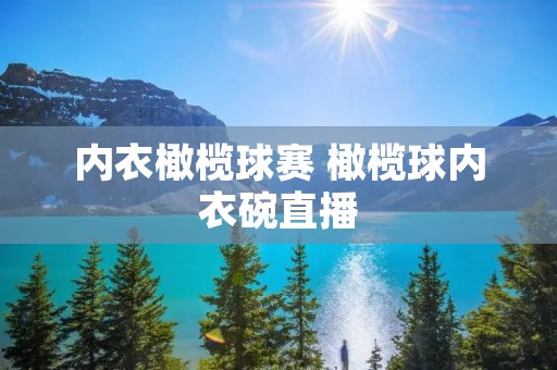 内衣橄榄球赛 橄榄球内衣碗直播
