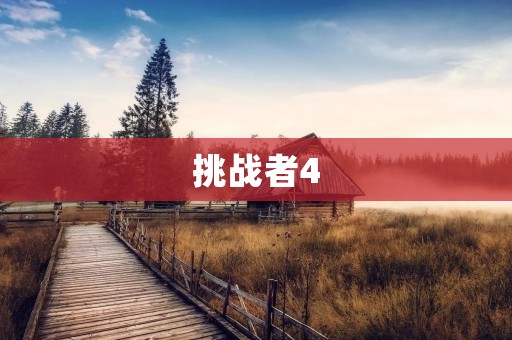 挑战者4：无人机行业的新宠