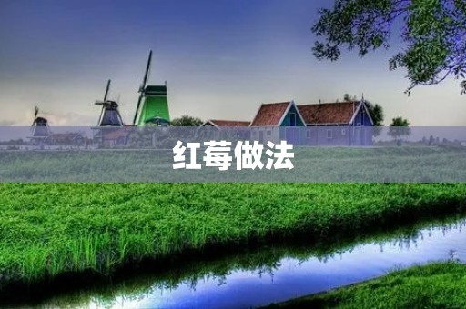 红莓做法:美味又健康的小浆果 红莓做法:美味又健康的小浆果