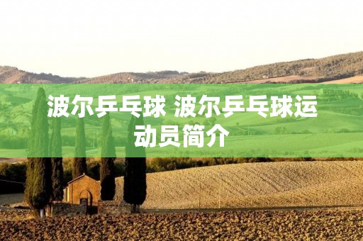 波尔乒乓球 波尔乒乓球运动员简介