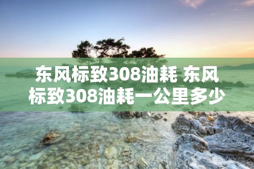 东风标致308油耗 东风标致308油耗一公里多少钱14款