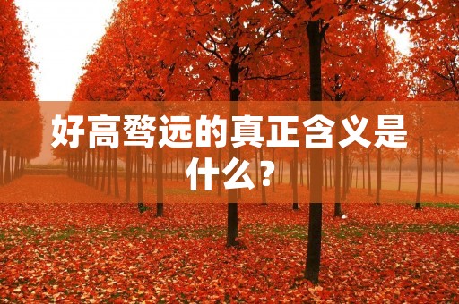 好高骛远的真正含义是什么? 好高骛远的真正含义是什么?