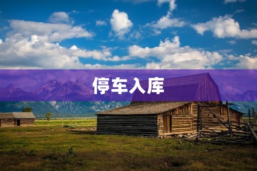 停车入库:解决城市停车难题的利器 停车入库:解决城市停车难题的利器