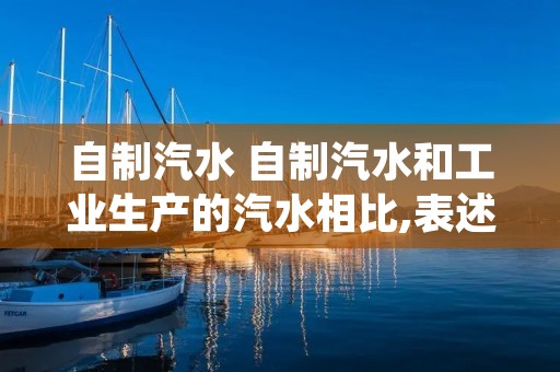 自制汽水 自制汽水和工业生产的汽水相比,表述错误的是