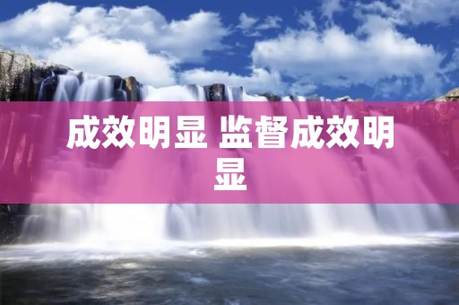 成效明显 监督成效明显