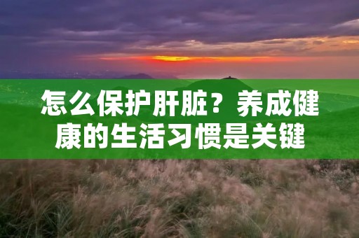 怎么保护肝脏?养成健康的生活习惯是关键 怎么保护肝脏?养成健康的生活习惯是关键