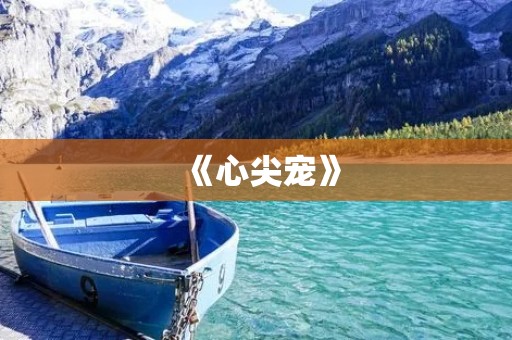 《心尖宠》:一部温暖的爱情小说