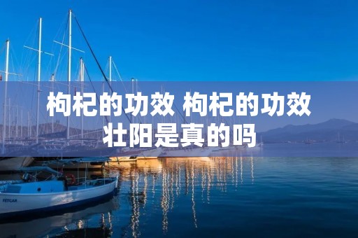 枸杞的功效 枸杞的功效壮阳是真的吗