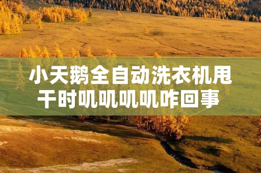 小天鹅全自动洗衣机甩干时叽叽叽叽咋回事 小天鹅洗衣机脱水时滋滋响