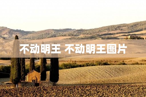 不动明王 不动明王图片