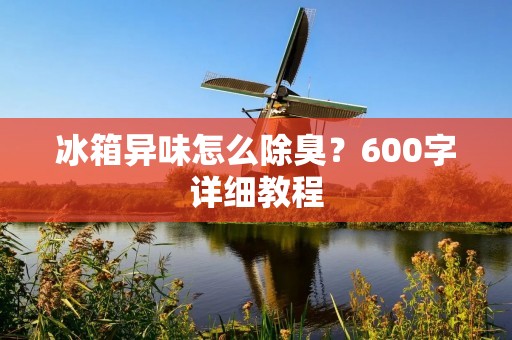 冰箱异味怎么除臭?600字详细教程 冰箱异味怎么除臭?600字详细教程