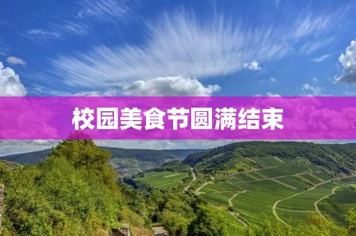 校园美食节圆满结束
