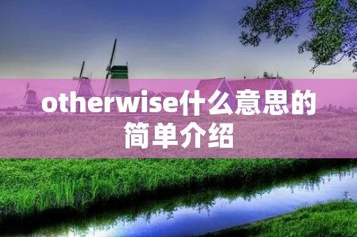 otherwise什么意思的简单介绍 otherwise什么意思的简单介绍