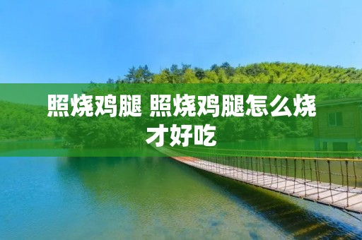 照烧鸡腿 照烧鸡腿怎么烧才好吃