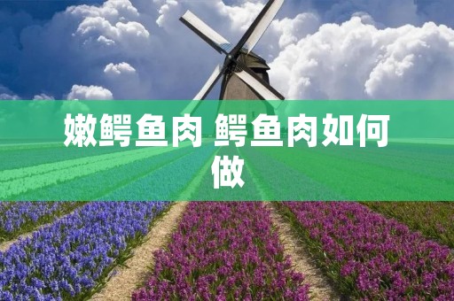 嫩鳄鱼肉 鳄鱼肉如何做