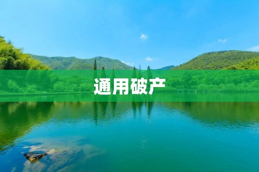 通用破产：企业经营管理的教训