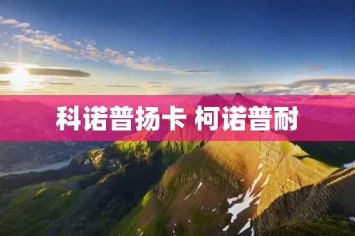科诺普扬卡 柯诺普耐
