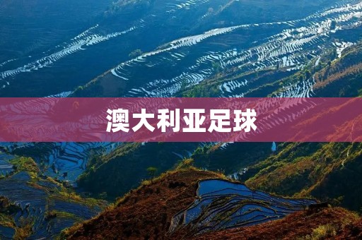 澳大利亚足球：从小众运动到世界舞台的腾飞
