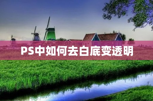 PS中如何去白底变透明:详细教程