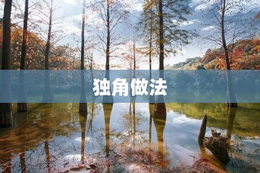 独角做法:让你的想法独一无二 独角做法:让你的想法独一无二