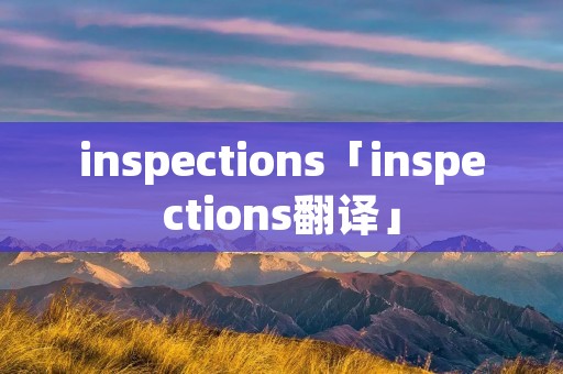 inspections「inspections翻译」
