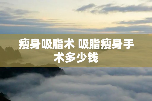 瘦身吸脂术 吸脂瘦身手术多少钱