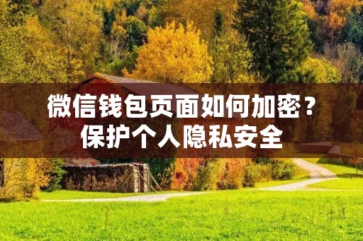 微信钱包页面如何加密?保护个人隐私安全