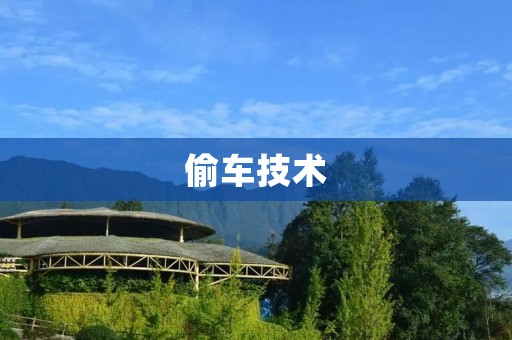 偷车技术:黑暗中的“艺术” 偷车技术:黑暗中的“艺术”