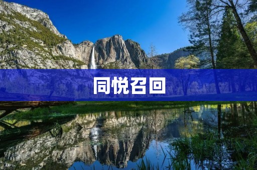 同悦召回:重塑品质,还原消费者信任 同悦召回:重塑品质,还原消费者信任