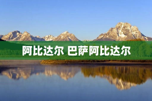 阿比达尔 巴萨阿比达尔