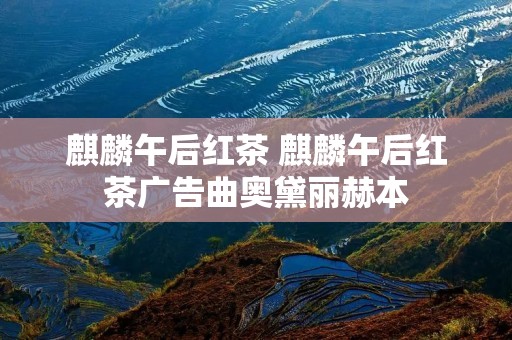 麒麟午后红茶 麒麟午后红茶广告曲奥黛丽赫本 麒麟午后红茶 麒麟午后红茶广告曲奥黛丽赫本
