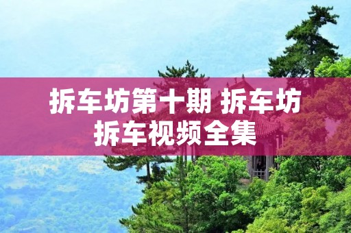 拆车坊第十期 拆车坊拆车视频全集