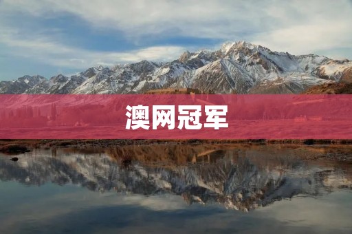 澳网冠军：诠释坚持与勇气的故事