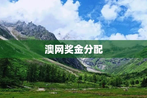 澳网奖金分配：公平还是不公平？