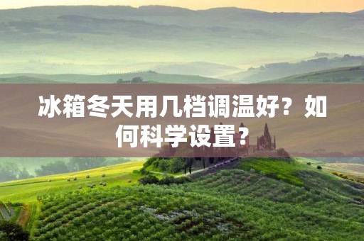 冰箱冬天用几档调温好？如何科学设置？