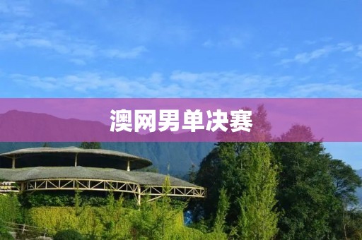 澳网男单决赛：德约科维奇力克梅德韦杰夫，夺得第9个澳网冠军