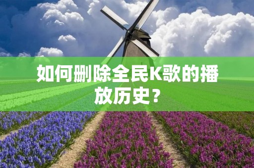 如何删除全民K歌的播放历史?
