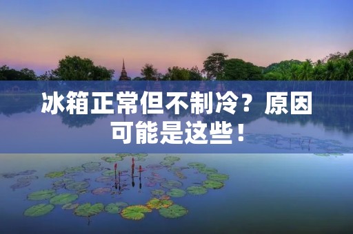 冰箱正常但不制冷？原因可能是这些！