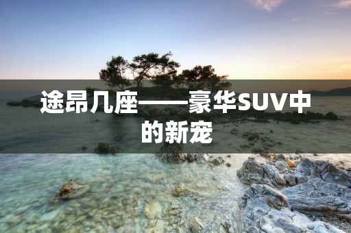 途昂几座——豪华SUV中的新宠 途昂几座——豪华SUV中的新宠