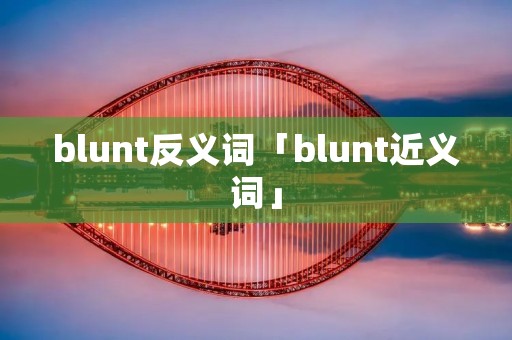 blunt反义词「blunt近义词」