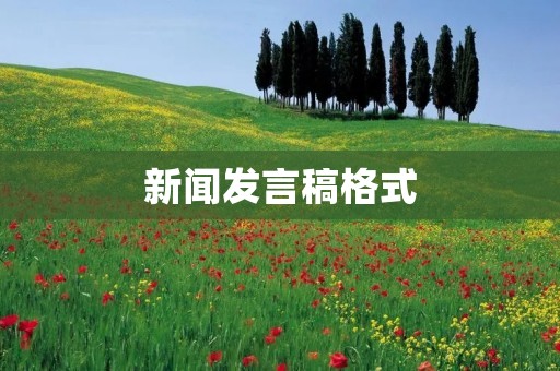 新闻发言稿格式
