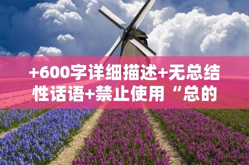 +600字详细描述+无总结性话语+禁止使用“总的来说”等词