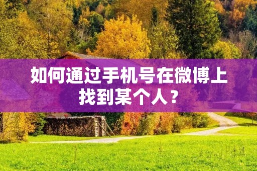如何通过手机号在微博上找到某个人?